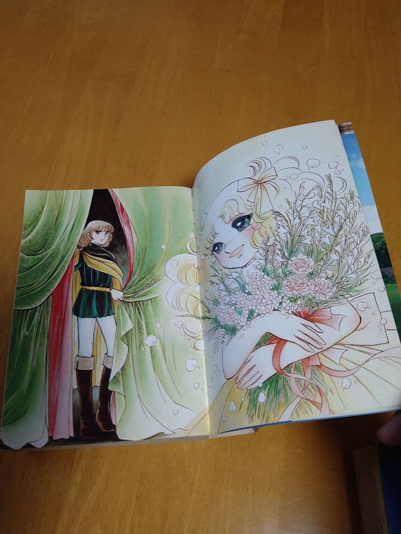 キャンディ・キャンディ 愛蔵版 全1・2巻セット