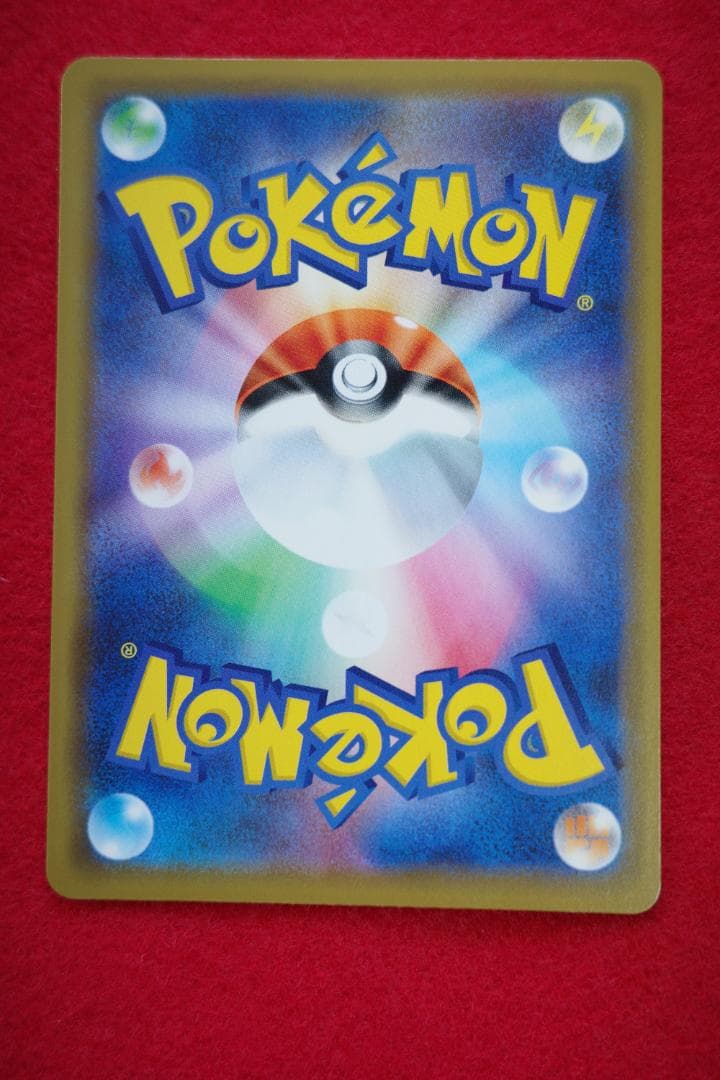 海で遊ぶピカチュウ