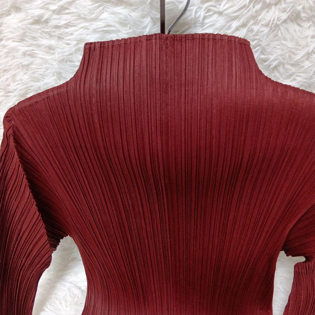 プリーツプリーズ　イッセイミヤケバーガンディ 赤茶色プリーツ 長袖 トップスМ