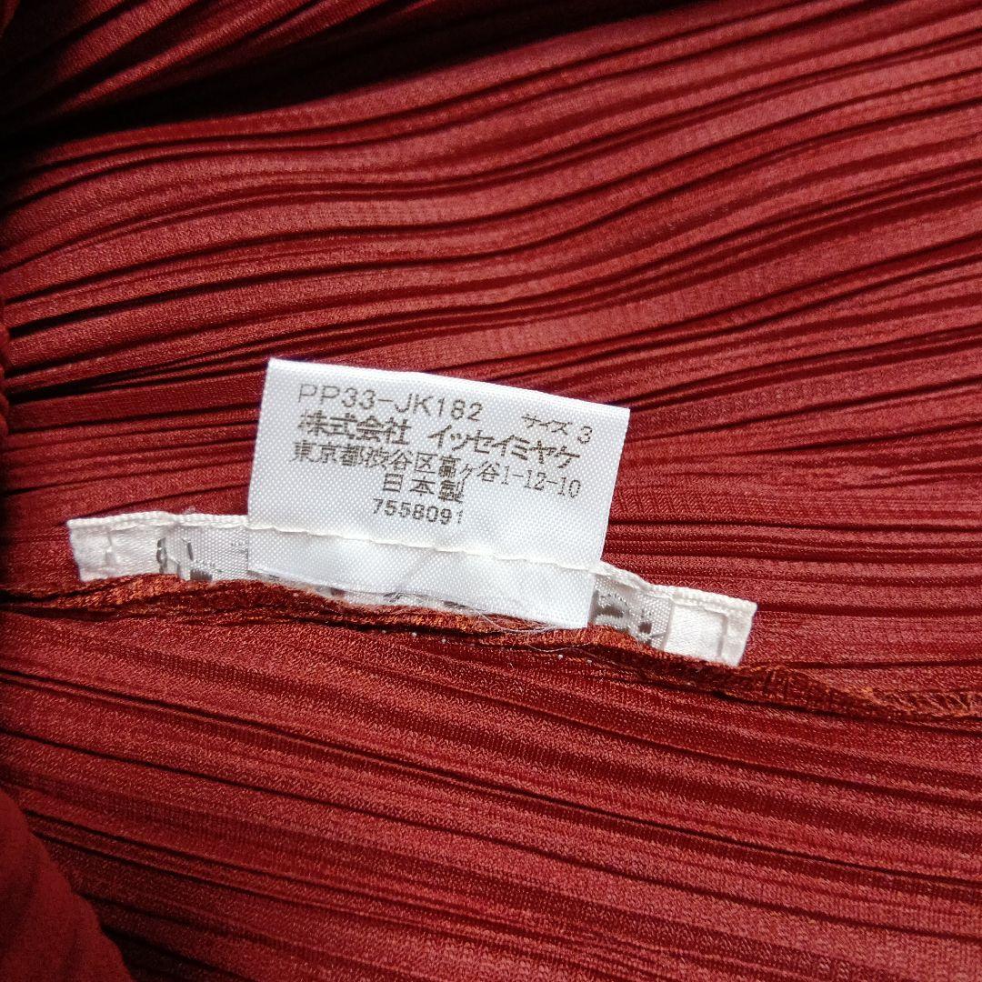 プリーツプリーズ　イッセイミヤケバーガンディ 赤茶色プリーツ 長袖 トップスМ