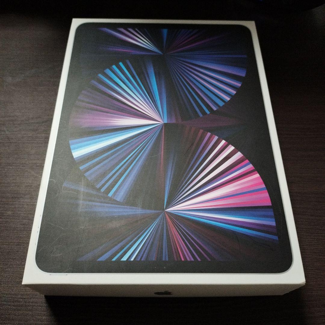 iPad Pro 11㌅ 128GB Cellular+apple Pencil