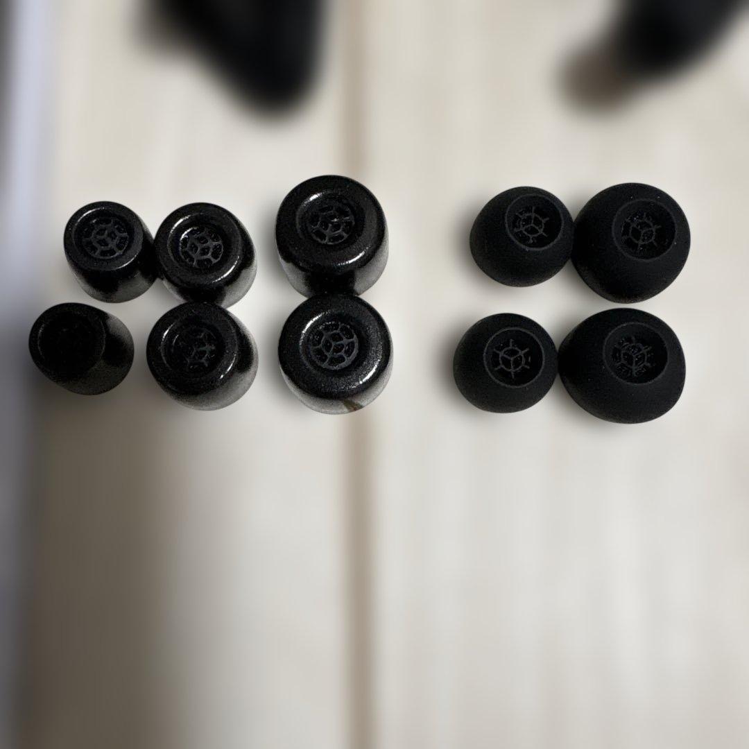 【数回のみ使用】SENNHEISER IE 200