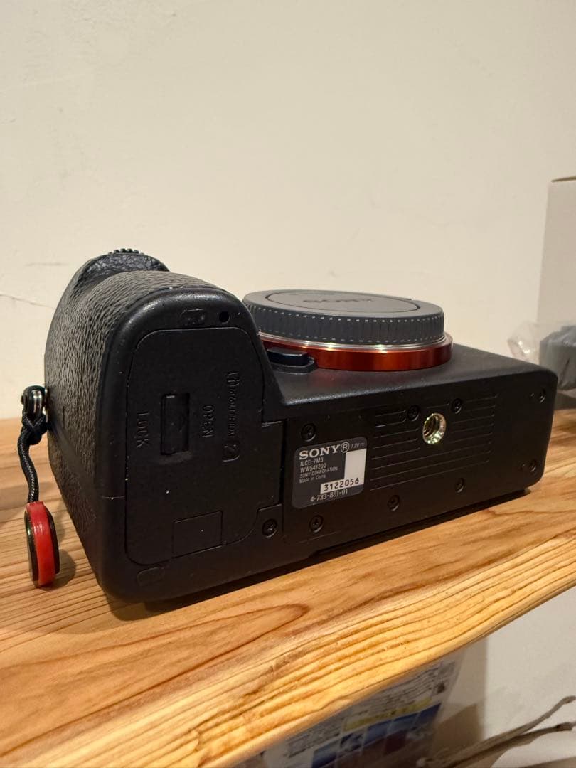 【霧雨】SONY α7III ズームレンズキット（ILCE-7M3K）