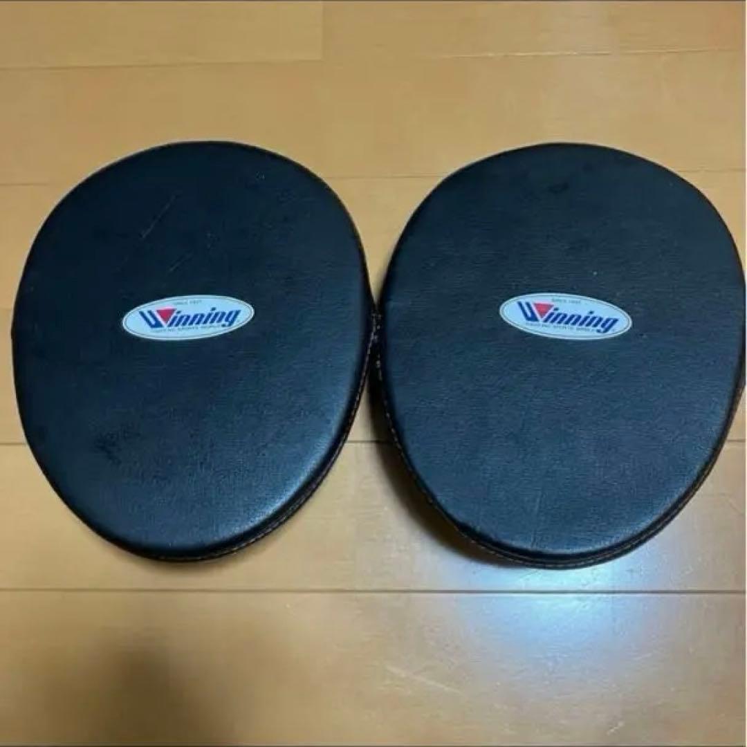 Winning ウイニング　パンチング　小型ミット　CM-05 ボクシング