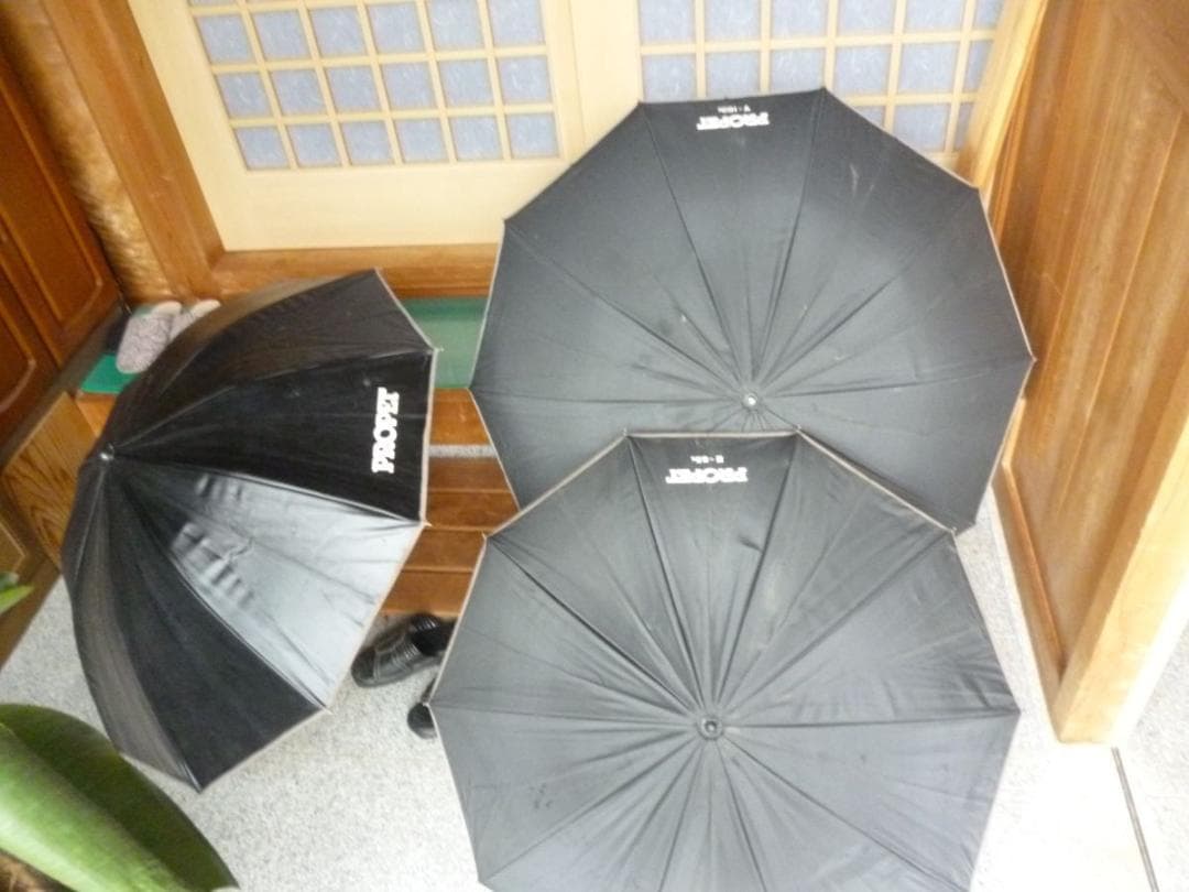 ガ*ジ様 PROPET S-600　ストロボ　等まとめて　3口発送　デッキ256