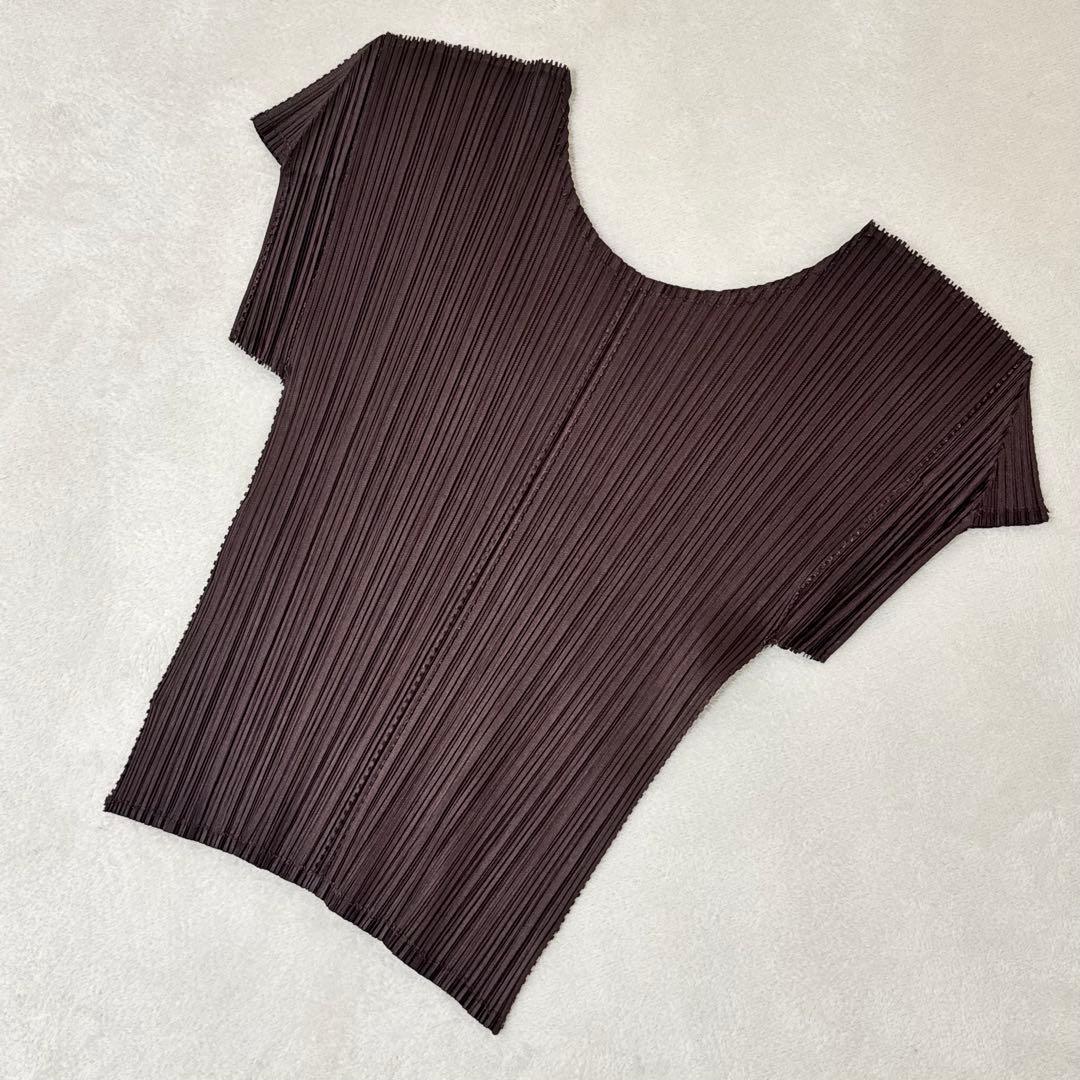 極美品✨PLEATS PLEASE 特殊加工　プリーツ　半袖　ブラウン　トップス
