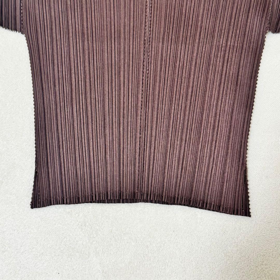 極美品✨PLEATS PLEASE 特殊加工　プリーツ　半袖　ブラウン　トップス