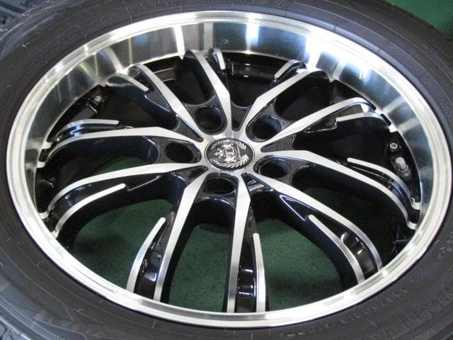 【RNDB】レアマイスター　SOLAIA（ソライア）V5