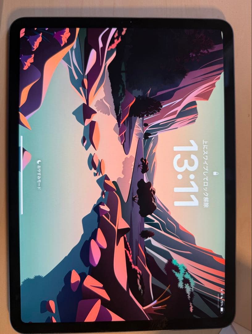 iPad Pro11 第二世代　128GB Wi-Fiモデル