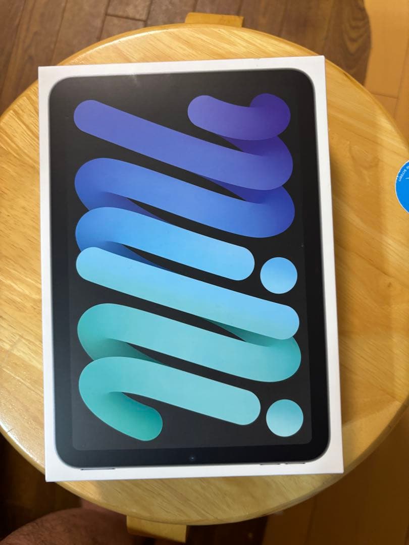 ひ*読様 Apple iPad mini (第6世代) スペースグレー 256G
