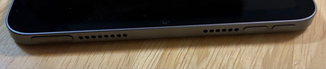 ひ*読様 Apple iPad mini (第6世代) スペースグレー 256G