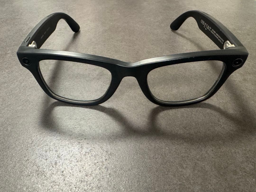 Lサイズ Ray-Ban  Wayfarer 人気モデル