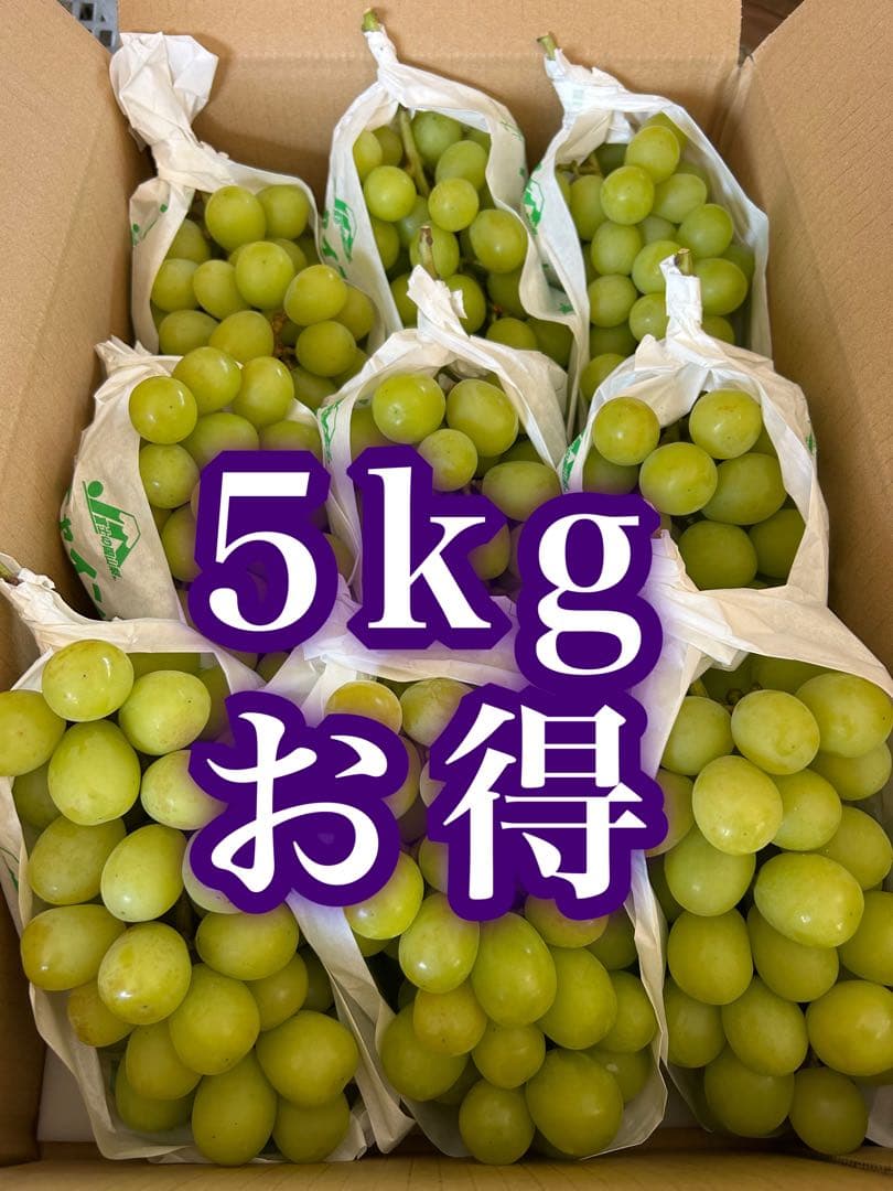 5-5 山梨県産　ぶどう　シャインマスカット 正味5キロ　家庭用