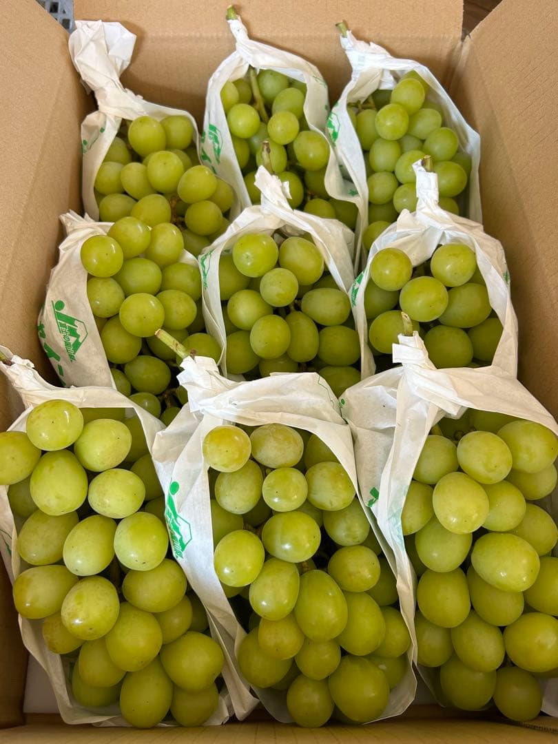 5-5 山梨県産　ぶどう　シャインマスカット 正味5キロ　家庭用