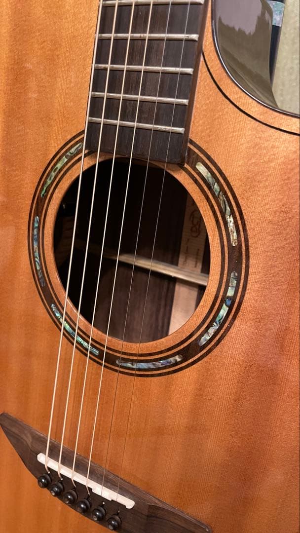 ◾️値下げ: DCT エレアコ G500C (本体状態良好:プリアンプ難あり)