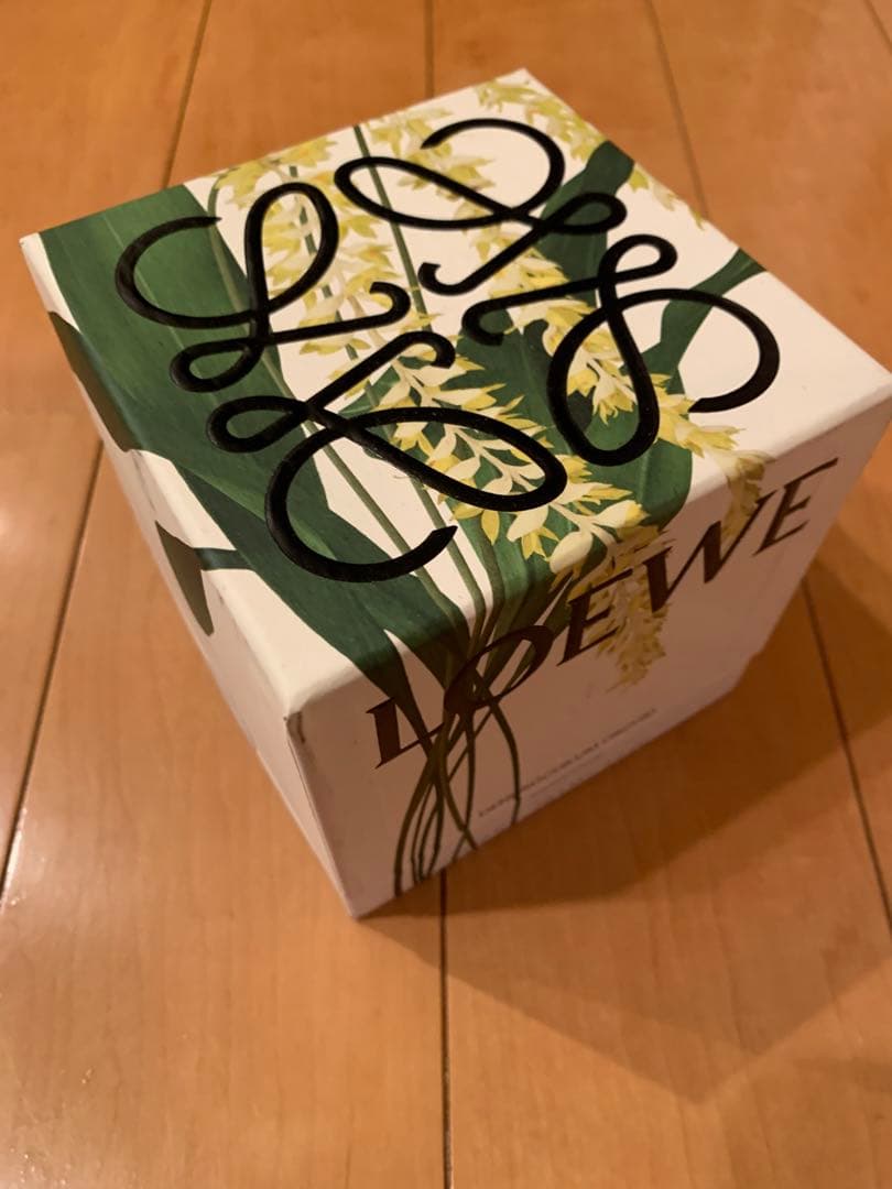 [LOEWE]Dendrochilum Magnum Orchid キャンドル