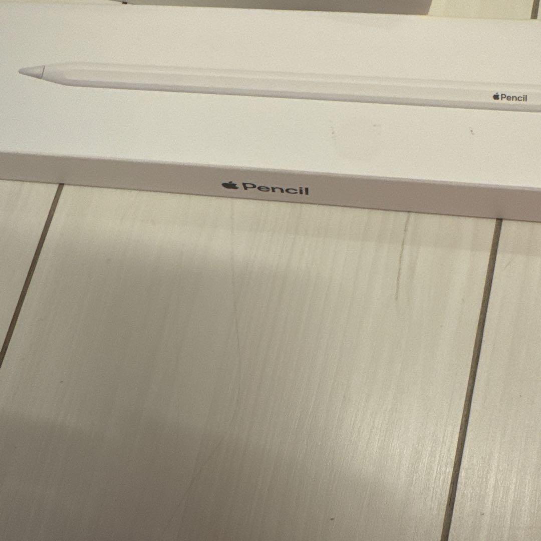 iPad pro 12.9インチ (第5世代) wifi+ celllar