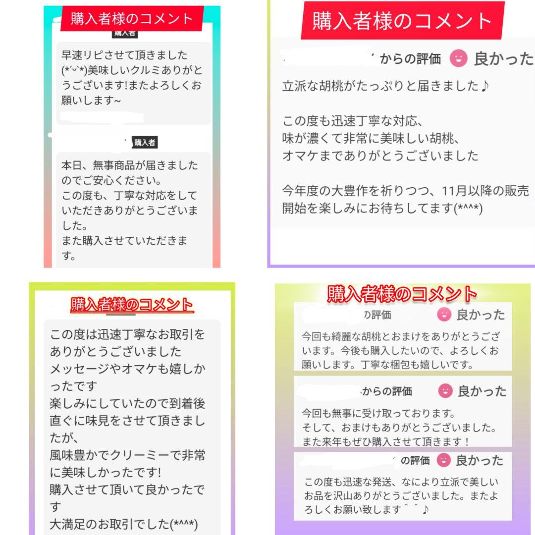 【ジャンドゥーヤ商品】 25年産 新物 国産 殻付き信濃くるみ 長野県産