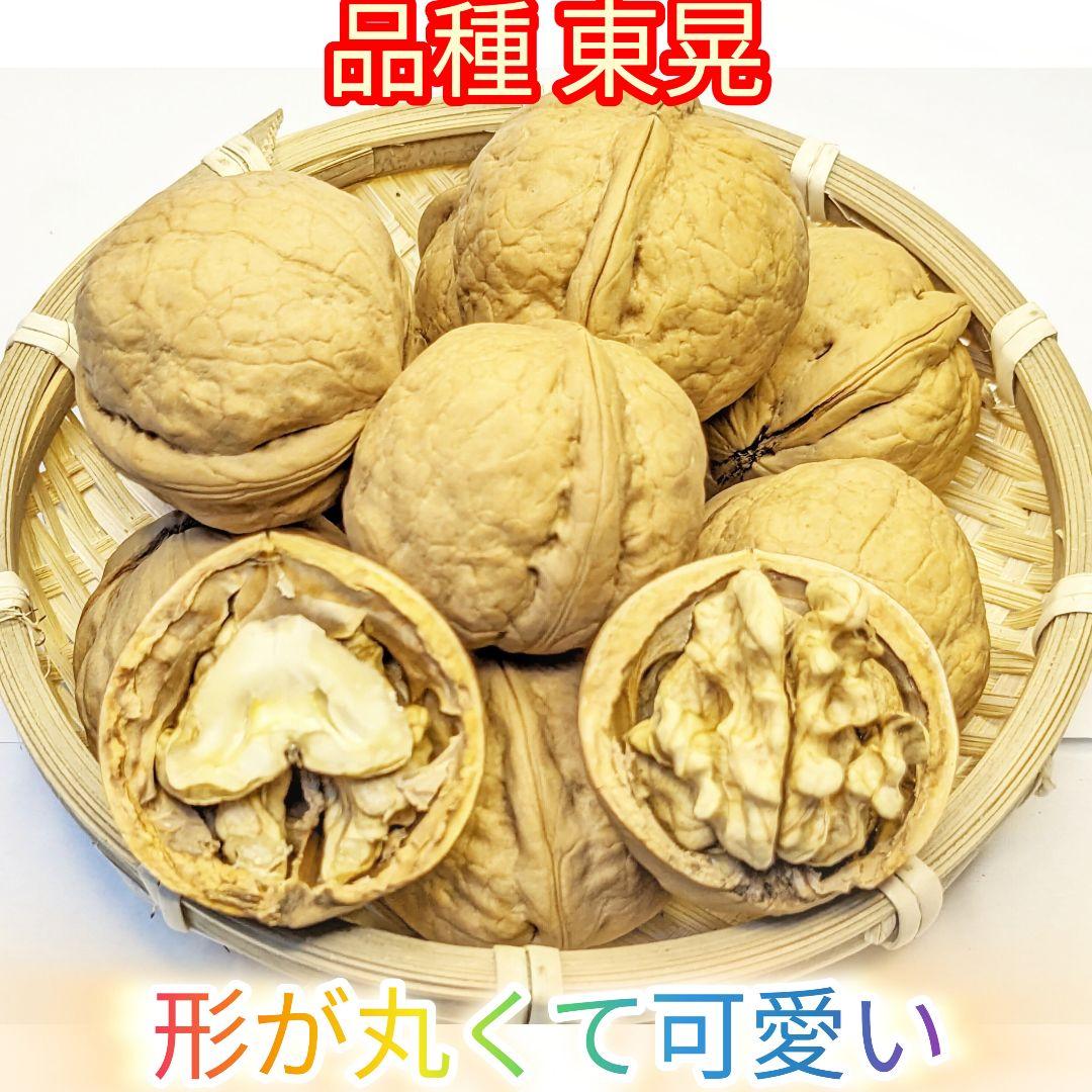 【ジャンドゥーヤ商品】 25年産 新物 国産 殻付き信濃くるみ 長野県産