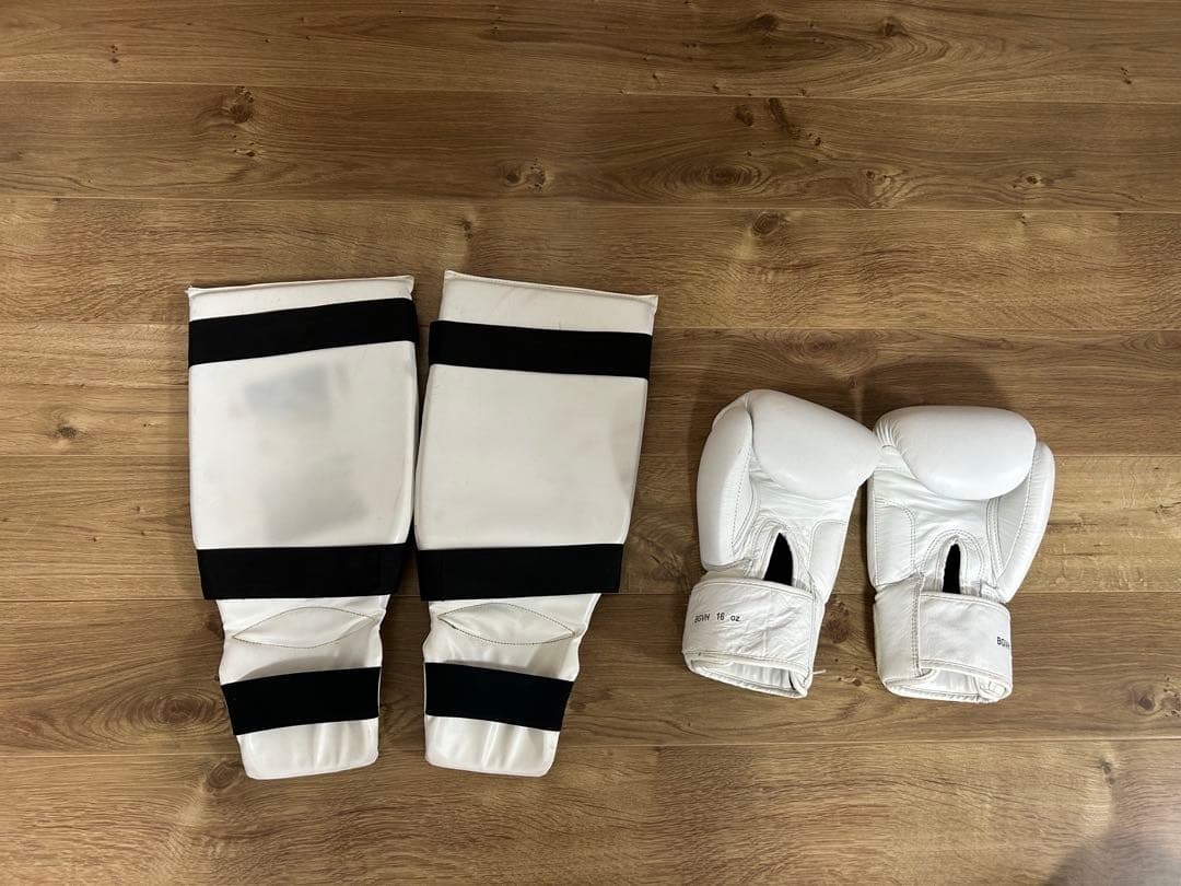 グローブ16オンス レガースL ウィンディ