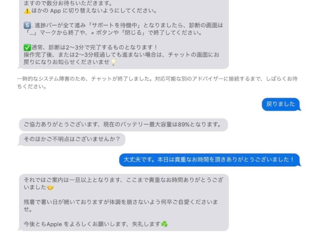 iPad Pro 12.9 第3世代　箱付き充電器付き　バッテリー最大容量89%