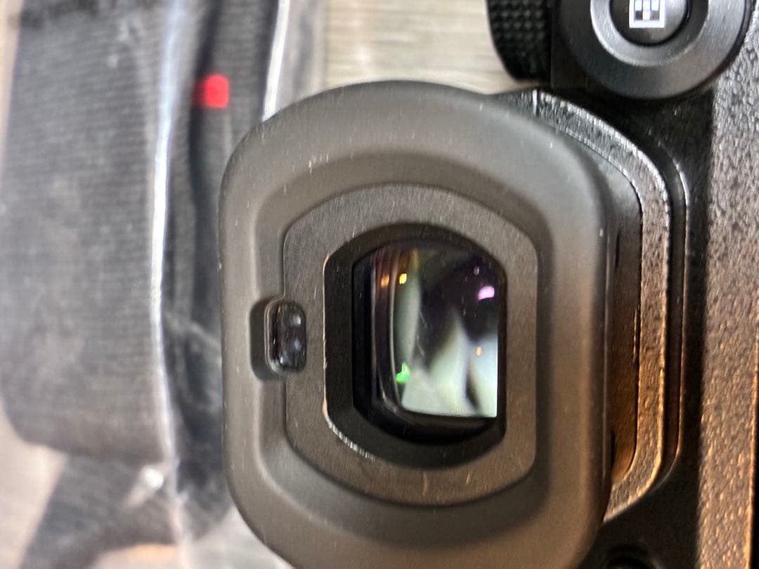 パナソニック LUMIX S5Ⅱ (DC-S5M2ボディ)