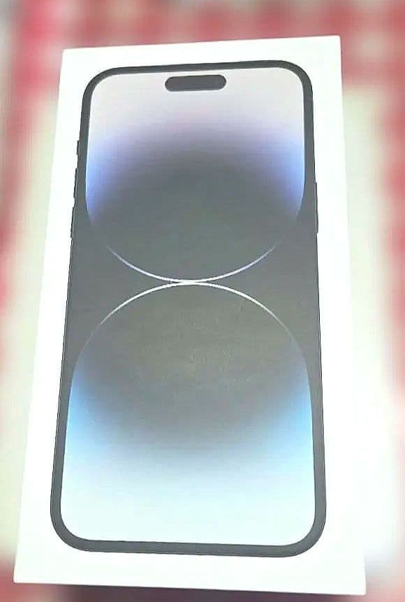 2025.2購入 Apple iPhone 14 Pro Max 128GB 黒