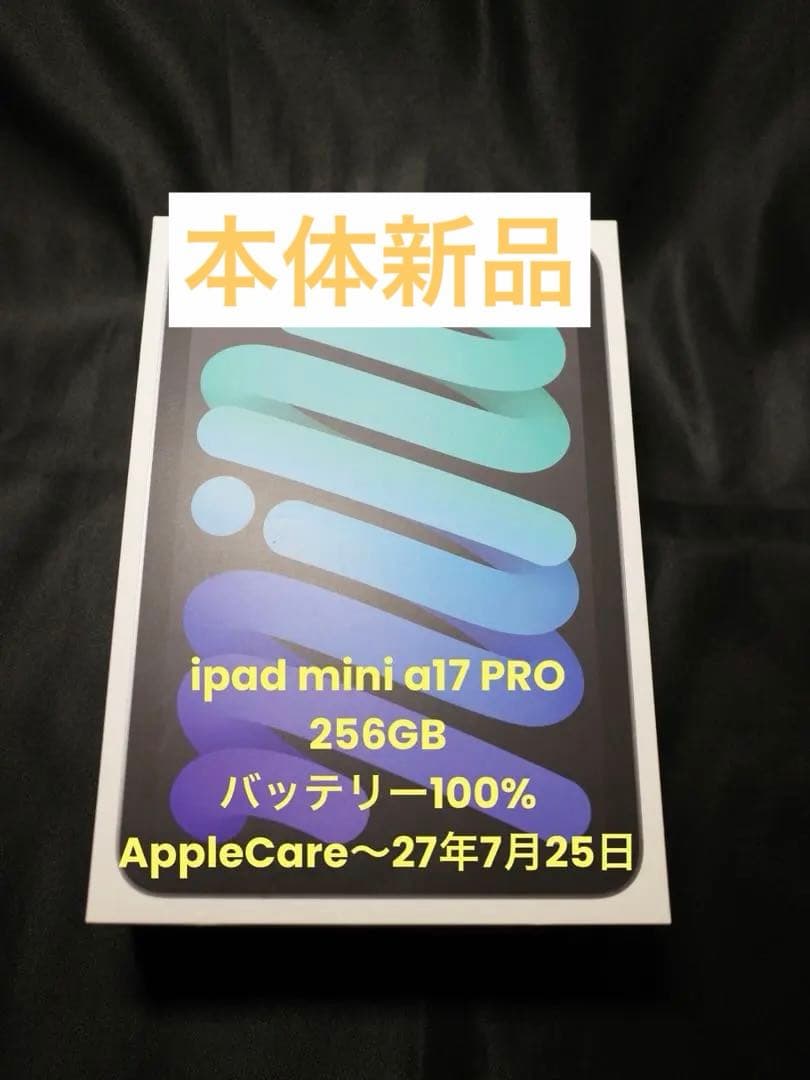 ipad mini a17 バッテリー100% AppleCare残1年5ヶ月