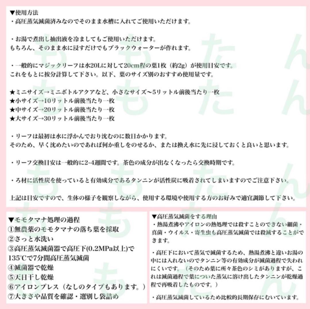 お徳用！サイズランダム400g高圧蒸気滅菌沖縄県産無農薬モモタマナ