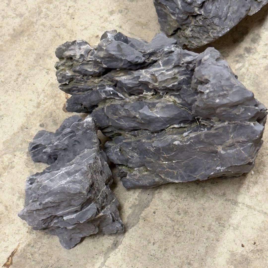 ADA龍王石 竜王石　セット　良型　1