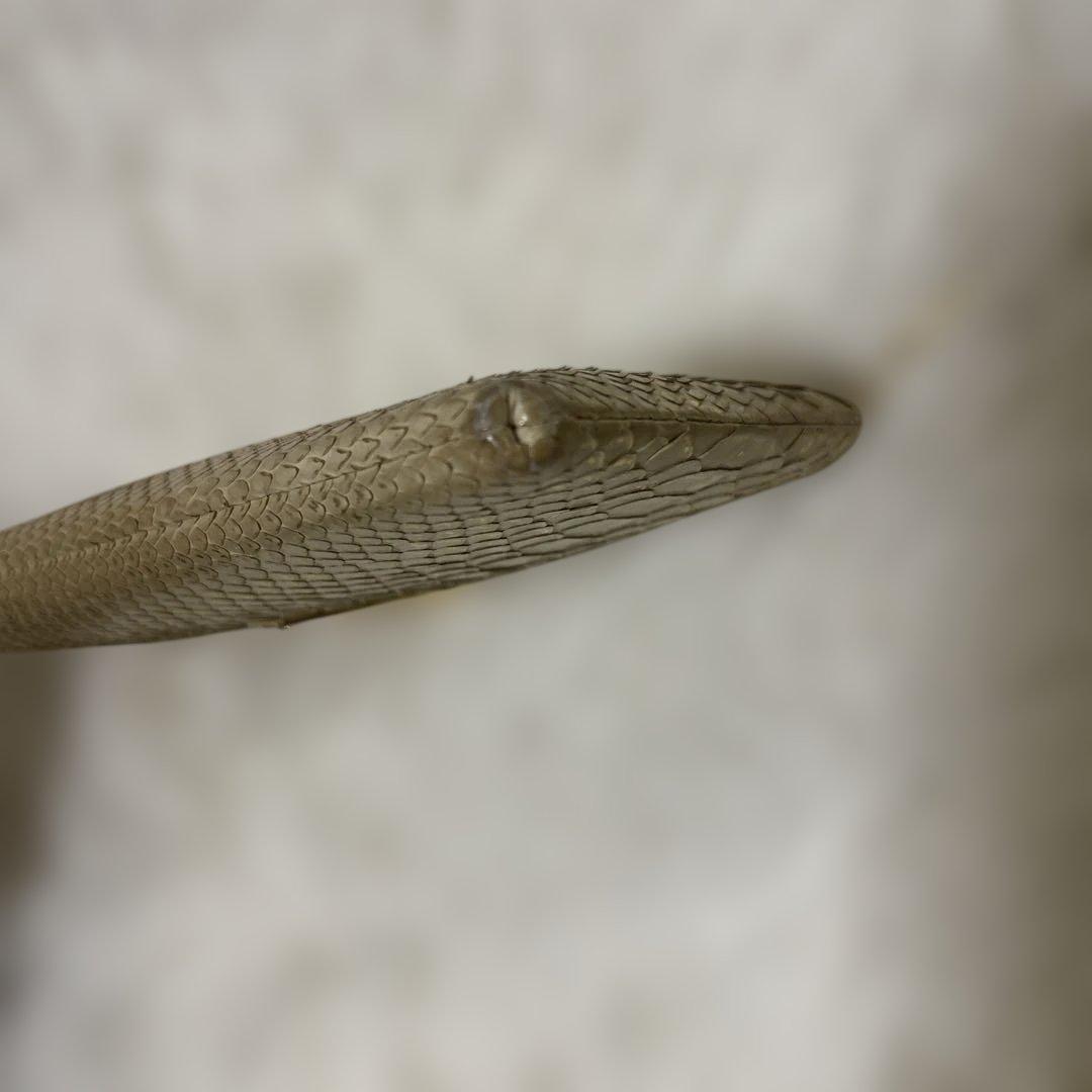 【極美品】ATAO リモパイソン　l字ファスナー　ゴールド　希少色