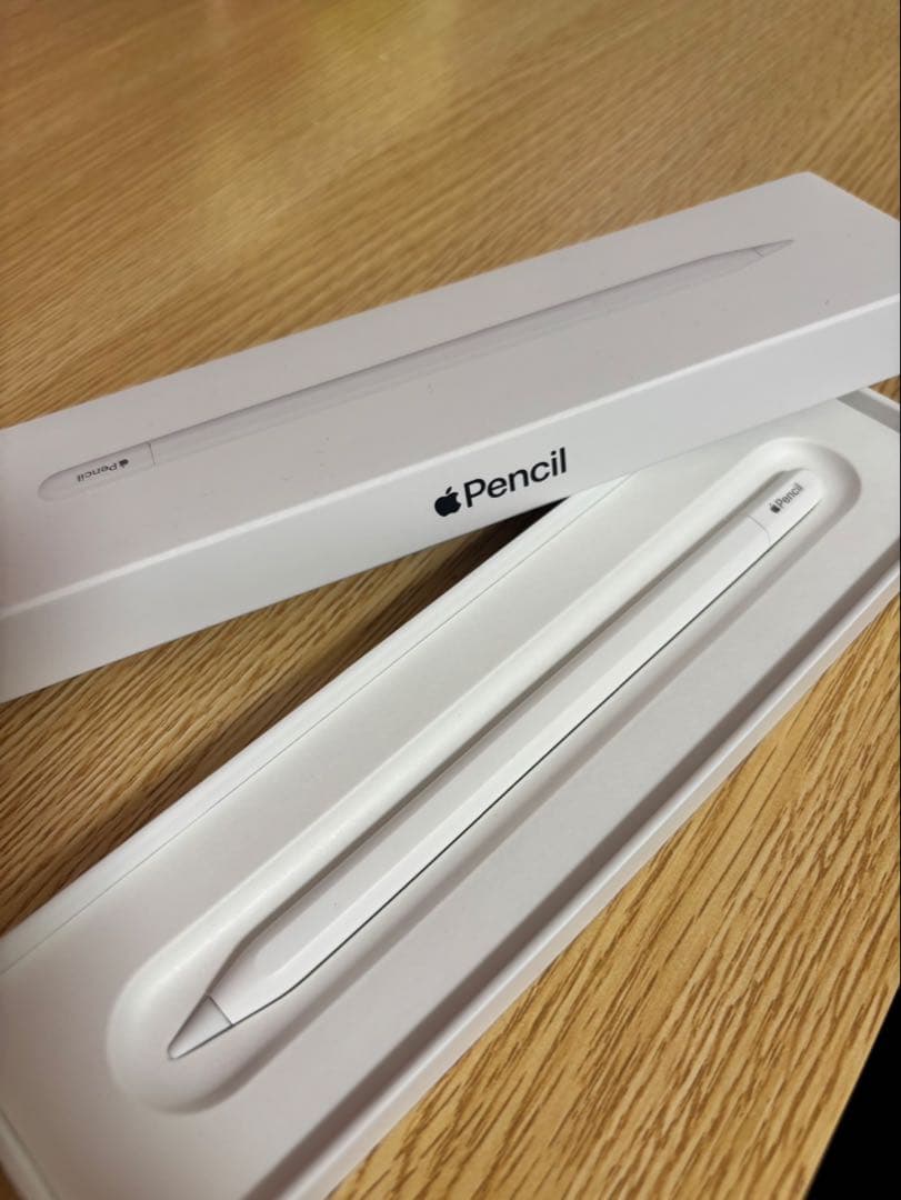Apple Pencil USB-C ホワイト
