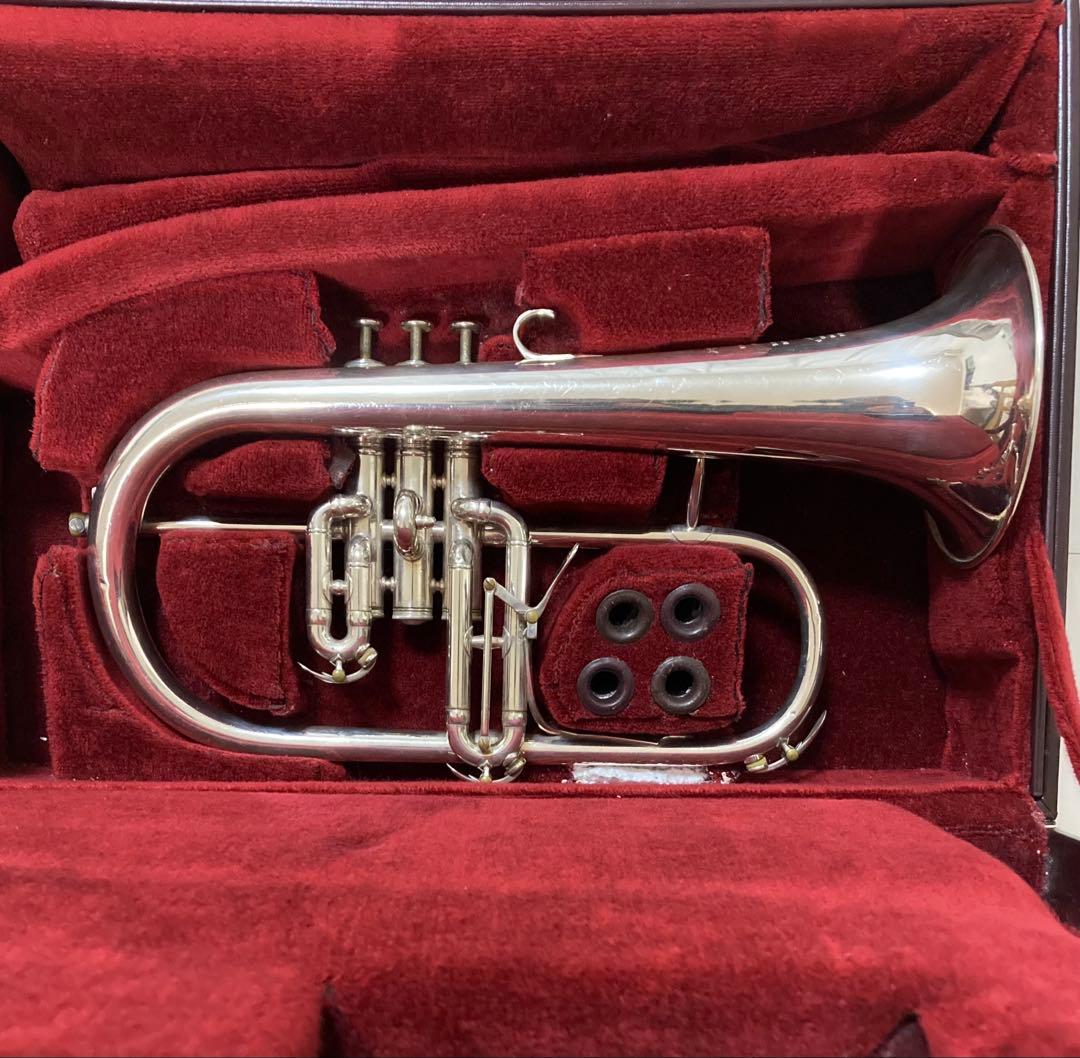 ベッソン　FL ケース付き