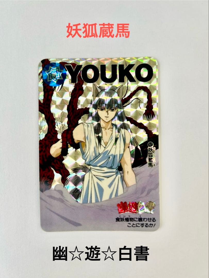 幽遊白書 トレカ 5枚セット 1993年発行