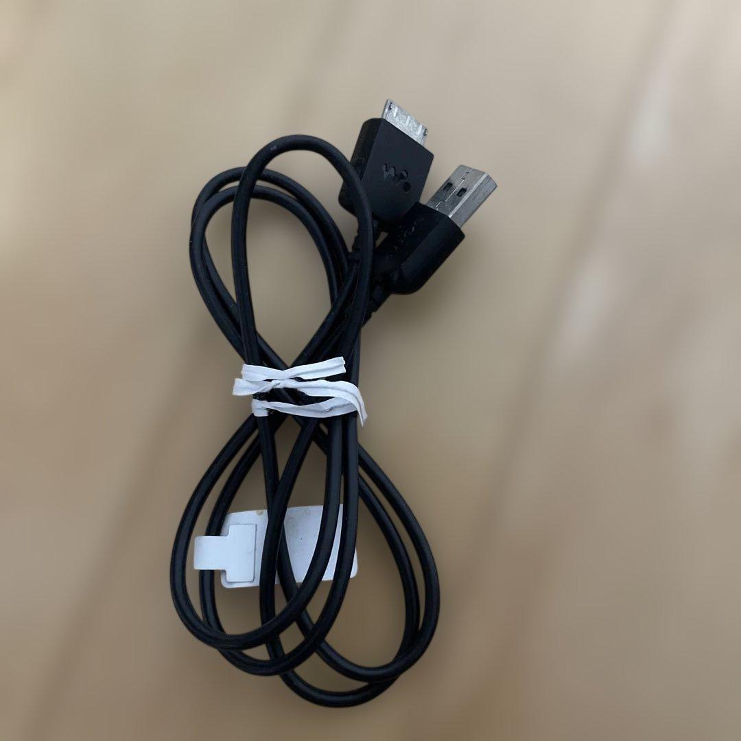 SONY ウォークマンSシリーズ 16gb 専用イヤホン、イヤホンケース付き