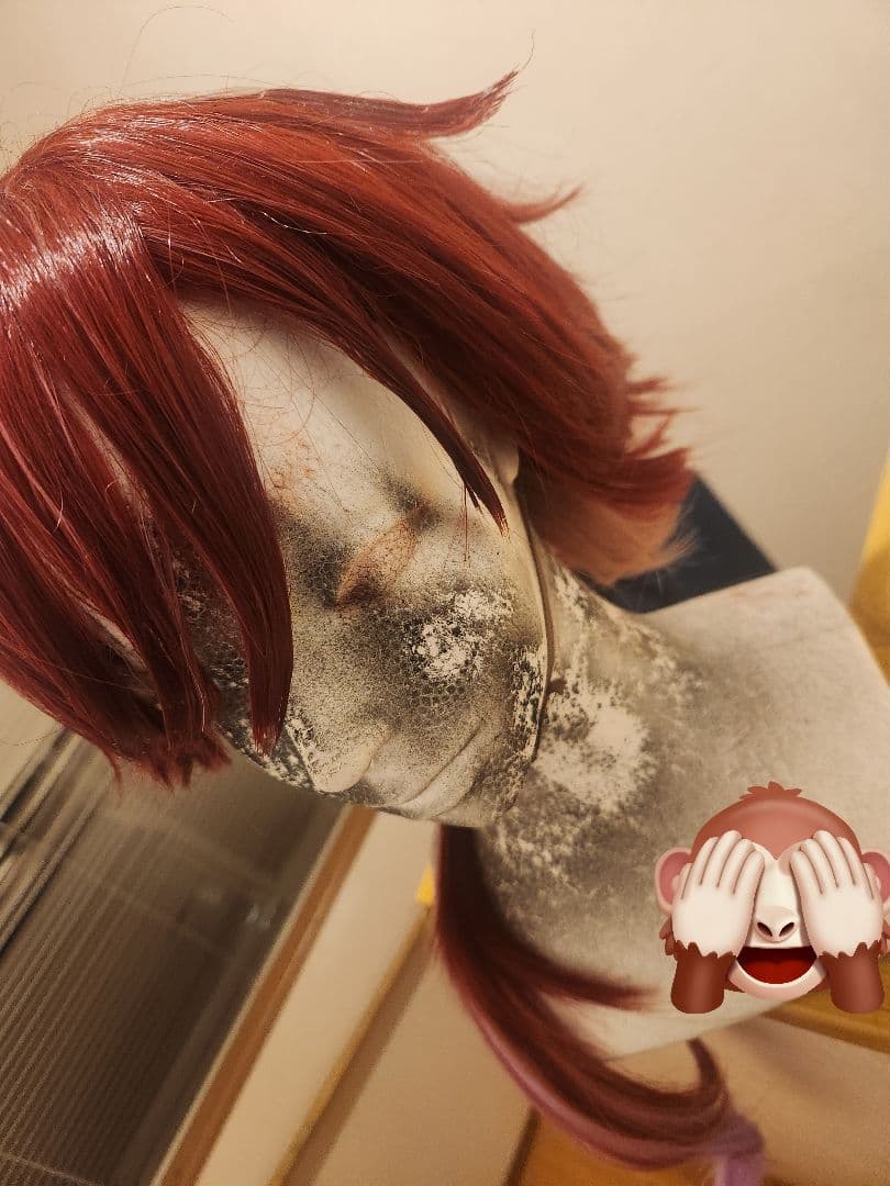 エ*カ様 ローレン•イロアス 衣装、ウィッグ、靴