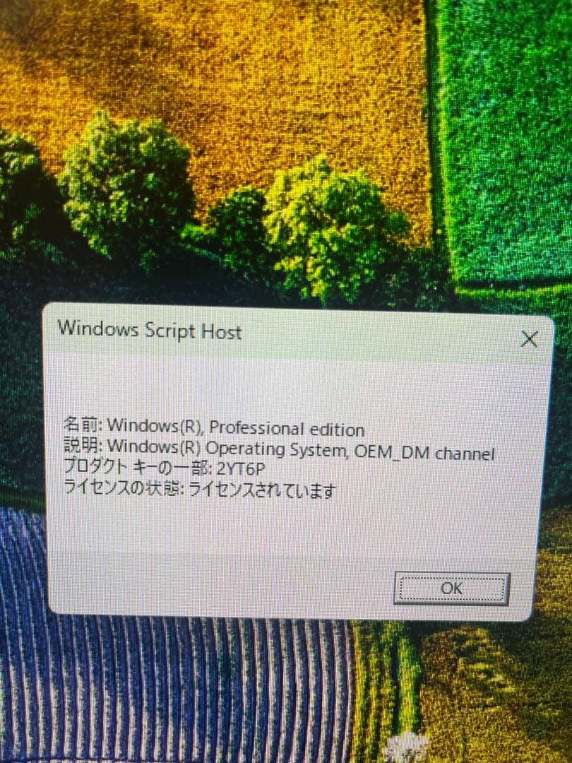 【美品】NiPoGi E2 ミニPC N150/8GB/256GB OEM