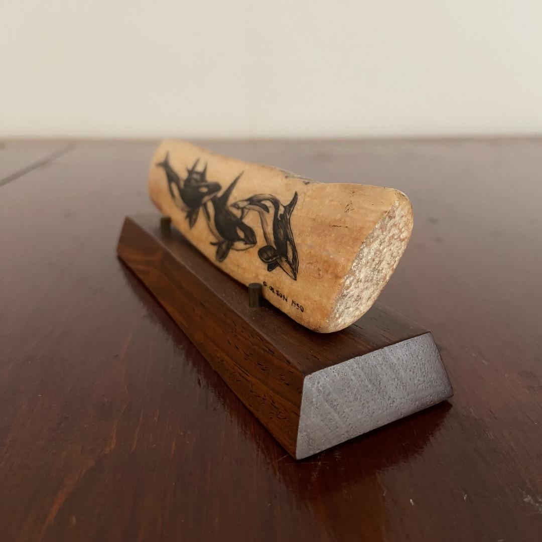 ケンタ、イヌイット民芸品、セイウチ牙の置物、シャチ図案