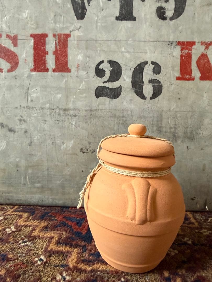 サンタマリアノヴェッラ　　テラコッタ