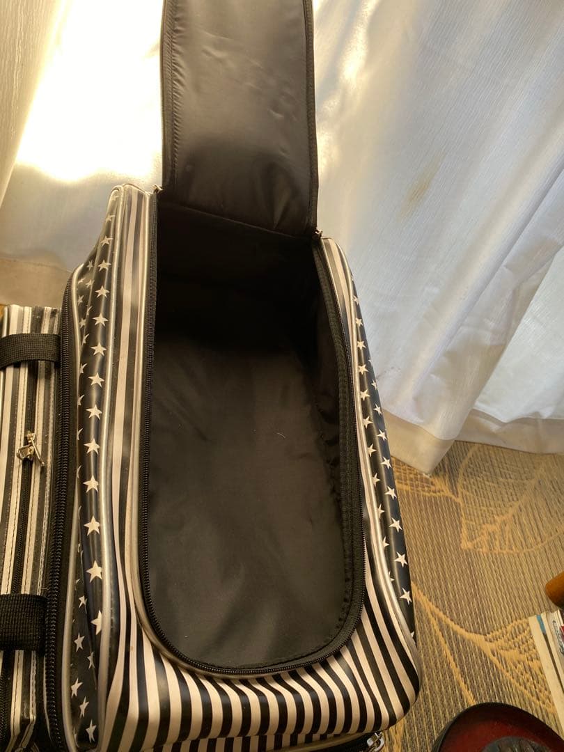 プ*ま様 注目度UP ラディカル　2個入りボウリングキャリーバッグ