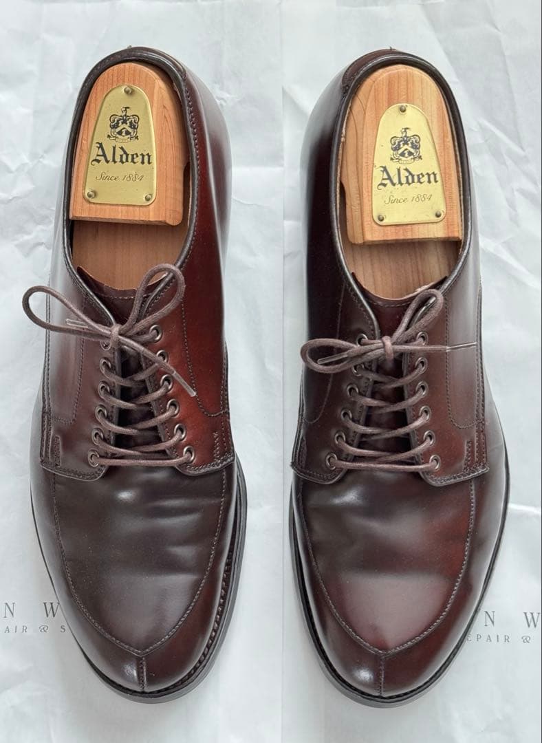 J*5様 ふふふふふ優遇なし オールデン シェルコードバン Vチップ 5492