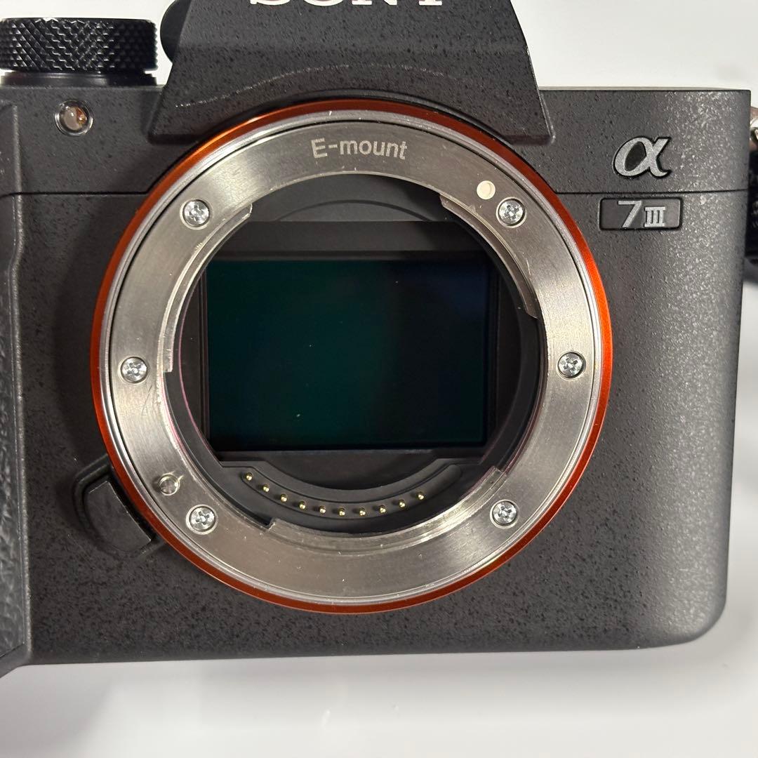 【美品】Sony α7 III ミラーレスカメラ 本体とレンズ付き