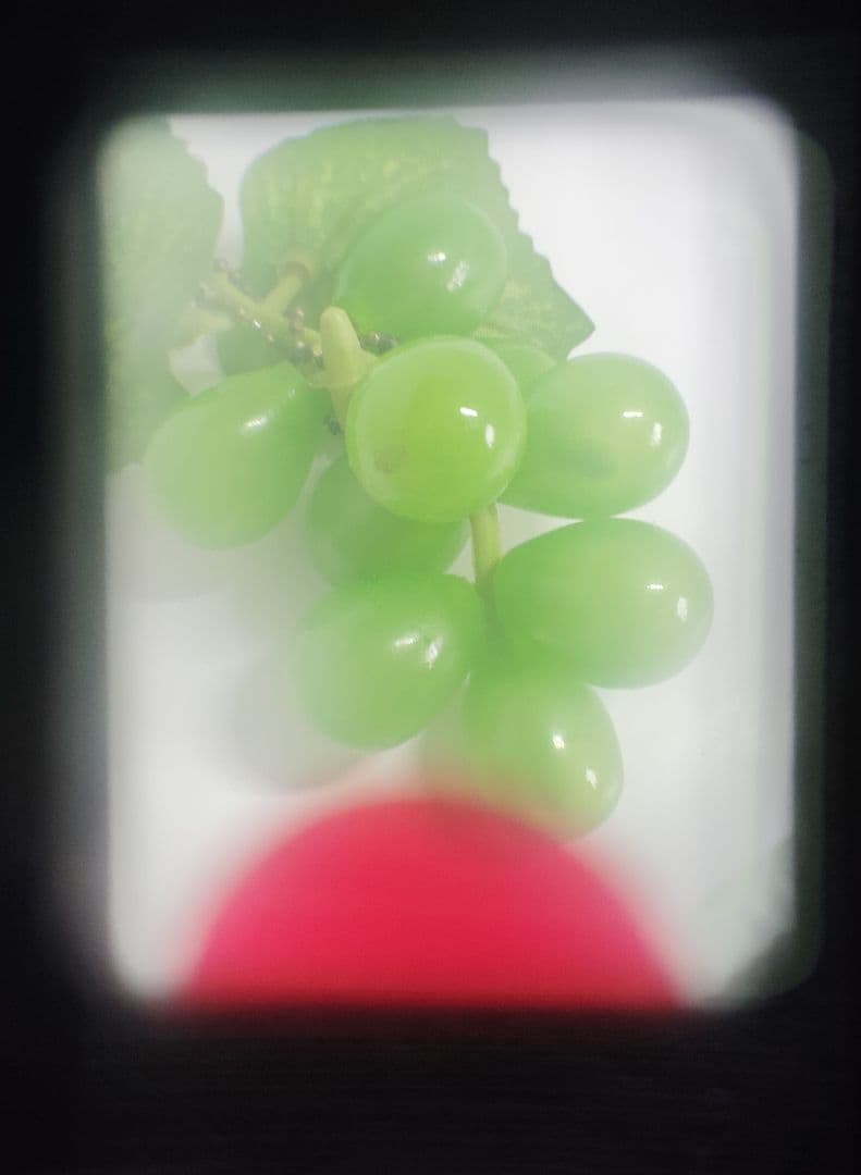 OLYMPUS-PEN EED（動作品）