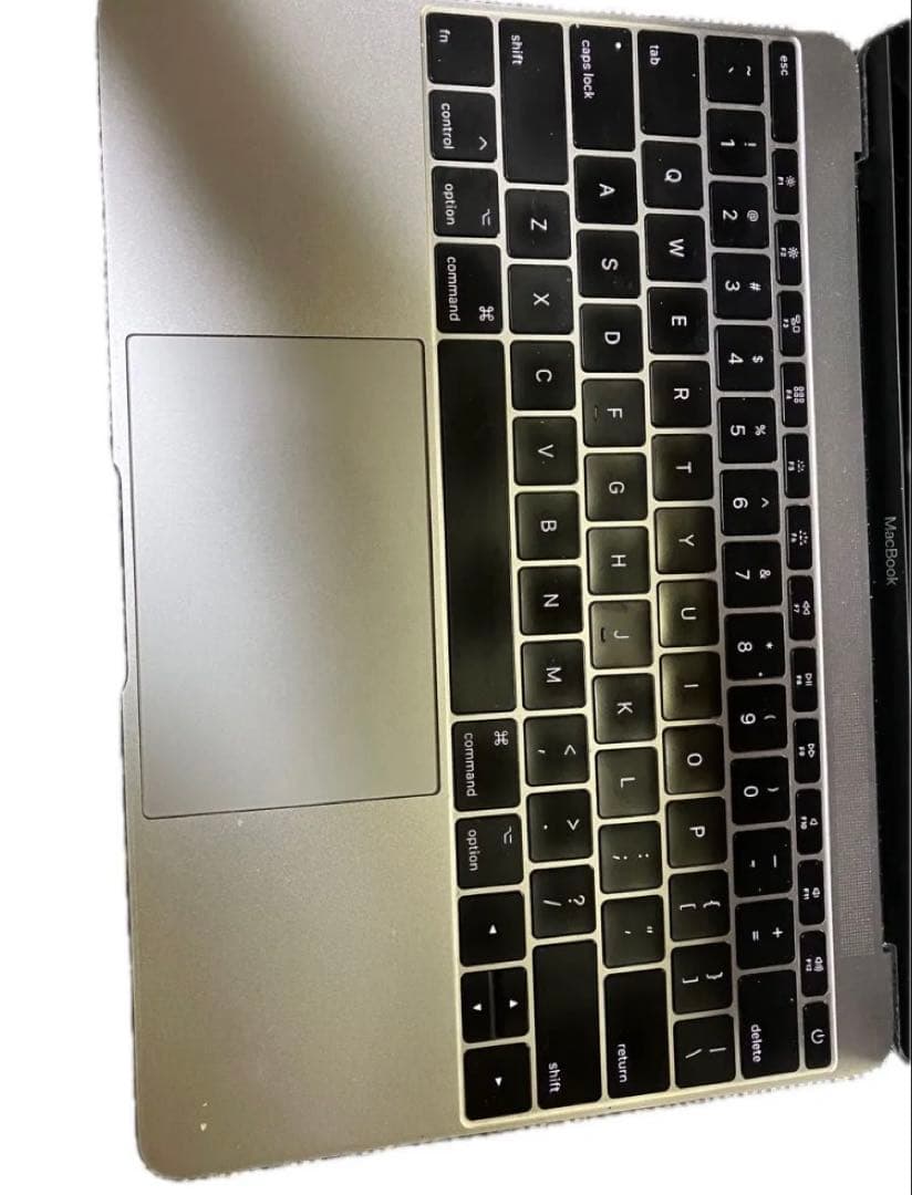 Macbook 2017、12インチ、sequoia,windows 仮想マシン