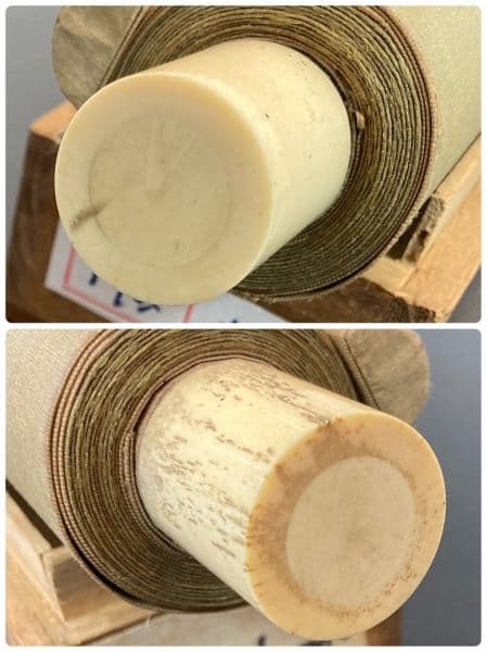 酒井抱一「梅」掛軸 絹本：江戸時代