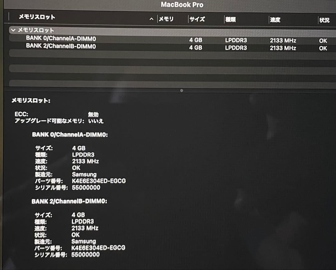 ヤバアギス様の件。MacBook Pro 2020