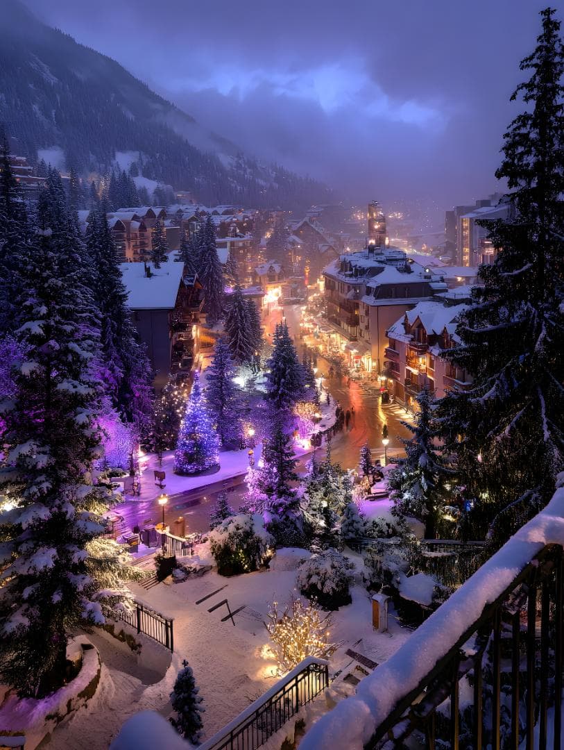 写真・グラフィック donguri.m