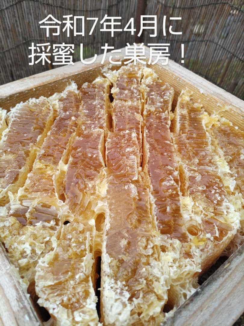 新蜜　日本ミツバチの百花蜜（１年物）㊷　550ｇ✕4本（2.2Kｇ）