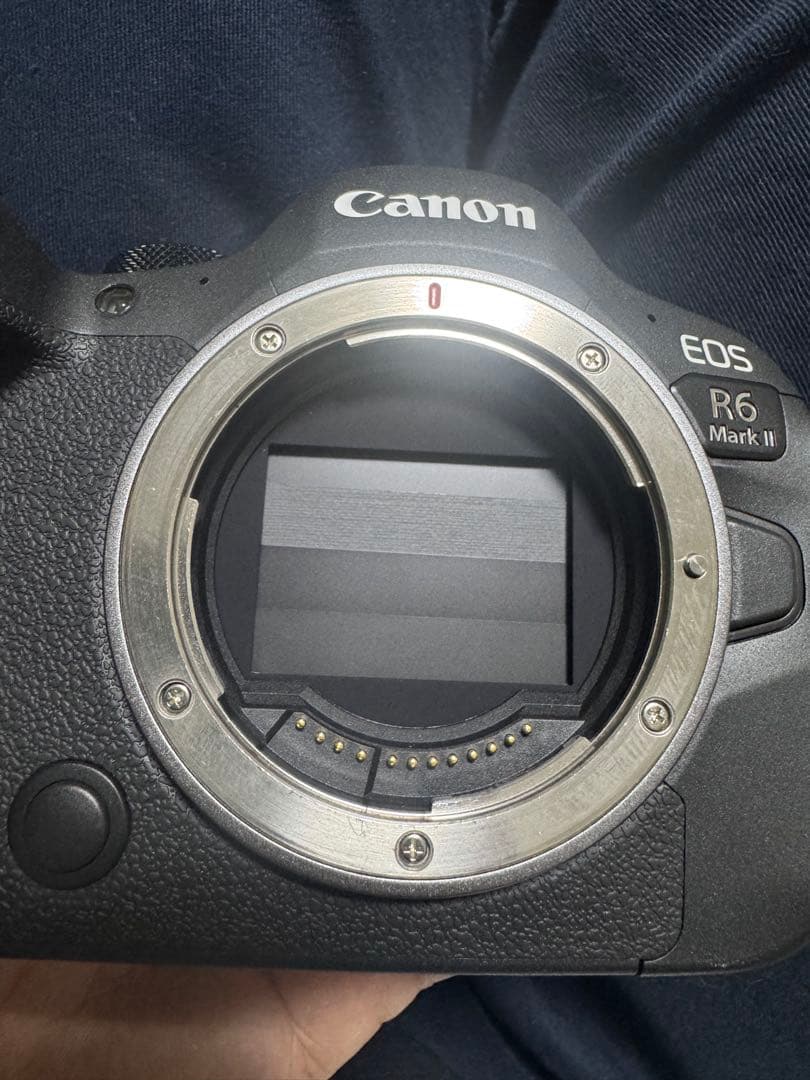 デジタルカメラ Canon EOSR6MarkII RF24-105mmF4 L IS SM