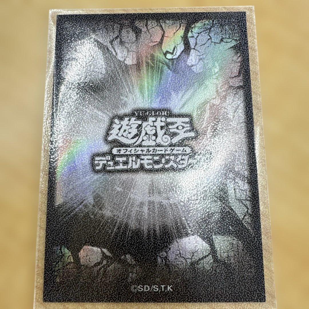 白き竜の落胤 プリシク